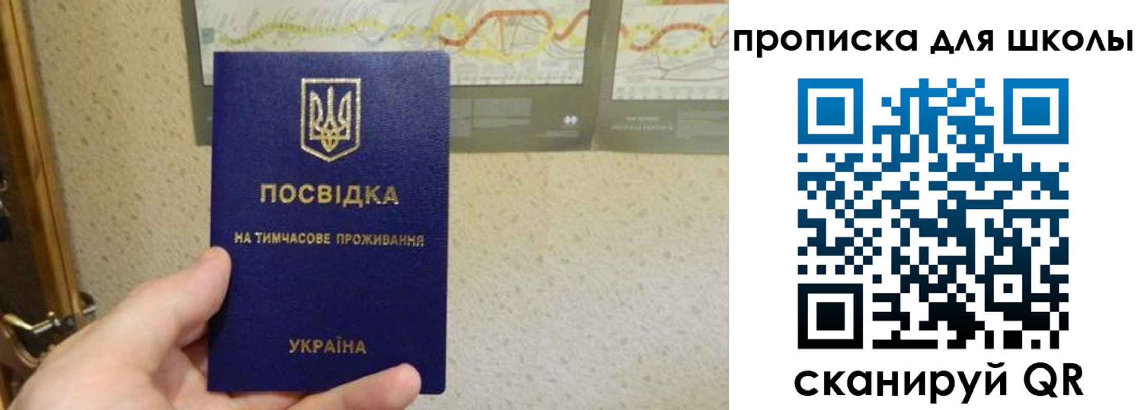 найти адрес прописки в Фокино